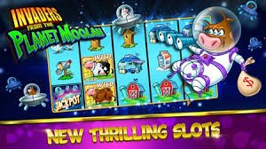 Layar taruhan sportsbook dan kasino online member77